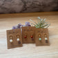 Shirely Gemstone Earrings 18k Plated Stud