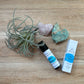 Pharmacy Rollerballs