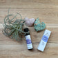 Pharmacy Rollerballs